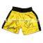 MMA Short,fight Short,mma gear, boxing short / Customized MMA Short /WB-MS-2005