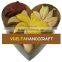 Wooden toy, gift, souvenir, jewelry box - customize 100% Viet Nam/ wooden boxes/ puzzle boxes/toys, save-money box/ bank box