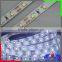 24V Custom 120leds High Brightness LED Strip,DC12V Flexible SMD 2835 Led Strip Pink color 120LEDs/m With CE,Rohs