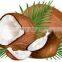 Top quality organic virgin Coconut Oil with reasonable price and fast delivery on hot selling!!