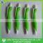 Cheap Feature Ballpoint Pen, Promotional Plastic Ball Pen