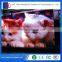 LED Indoor Iron Top Quality Trade Assurance Supplier P2.5 Display