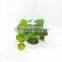 low cost daily life decor artificial small bonsai /bonsai plant for home decoration