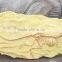 Hot sale fiberglass life size dinosaur skull