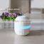 Private Labeling High Performance 100 ml Mini Ultrasonic Air Humidifier Purifier Aroma Diffuser