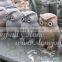 Stone Material Owl Sculpture, Garden owl