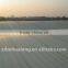 PPGI GI galvanized roofing sheet