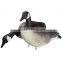 Foam Used Feeding Canada Goose Decoy for Hunter Hunting, Weight 75g