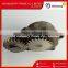 ISDE Car engine parts 4939586 5273937 5313086 Lubricating oil pump