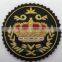 Ricon High Quality Custom OEM Metal badge, Custom metal military lapel pin badge