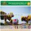 Thrilling Amusment Park Games Machine Adult Energy Storm Rides for Sale
