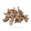 Lowest Price Premium Dried Galangal Roots