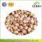 High Purity Xinjiang Origin Light Speckled Kidney Beans