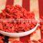 Organic Dried Goji Berries Medlar for hot sale