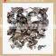 dry oyster mushroom