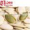 Shine Skin Type Pumpkin Seeds in Shell