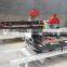 circular twin blades wood sliding table sawmill