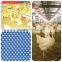 chicken poultry breeding house equipment