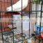 Best selling products automatic feeder for pigeon,pigeon automatic feeder,plastic pigeon feeder