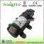 Singflo 12v/24v DC Auto High Pressure Switch Mini Garden Water Pump