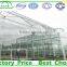 Large Size and Multi Span Agricultural Glass Greenhouse