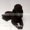 Personalized resin poodle wholesale christmas ornament suppliers