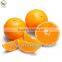 natural fresh citrus orange