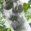 Steady Quality China Agricultural PP Non-woven Fabric,Crop Cover