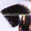 retailers general merchandise Hair Braid  website afro kinky curly wave brazilian virgin human hair weave bundles