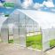 Mini Plastic Film Steel Pipe Tunnel Greenhouse