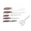 Coating hollow handle 6pcs stainless steel chef knife set with bone scissors