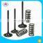 Dirt Motor Bike Motorcycle accessories and spare parts engine valves For Kayo T4 T6 200cc 250cc