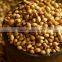 Fine Grade Organic Coriander Seeds At Your Door Step