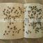 Hot Garden Jardin Garten Sticky Glue Insect Fly Killer Traps