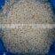 Sinocharm  Frozen vegetable IQF Frozen Water Chestnut dices for wholesale