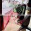 532nm 6D Red Laser 6D Green Laser Light Therapy  Body Shaping 6d Slimming Green Laser