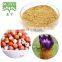 100% Natural Gordon Euryale Seed Extract Semen Euryales Extract