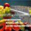 Olive apple Citrus Fruit Washing Machine price