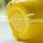 5.5L lovely Cartoon shape design for houseware