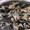 Edible Seafood Dried Laver Seaweed with Good Taste