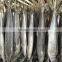 2015 Hung Frozen Spanish Mackerel Whole Gutted