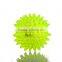 Promotion gift LED pet dog ball