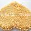 NEW Anti Slip Back Microfiber Chenille Carpet,microfiber Bath Mat / Chenille Mat-QINYI