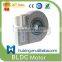 Brushless DC Motor