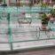 tiffany blue flower show rack, display platform