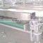 Stainless steel fruit sorting machine