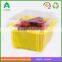 250g plastic strawberry punnet