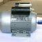 YL7114single phase two value capacitor asynchronous AC motor