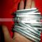 Galvanized Square Shank Nail factory