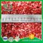 New Food Dehydrated Hot Sale Organic Freeze Dried Strawberry